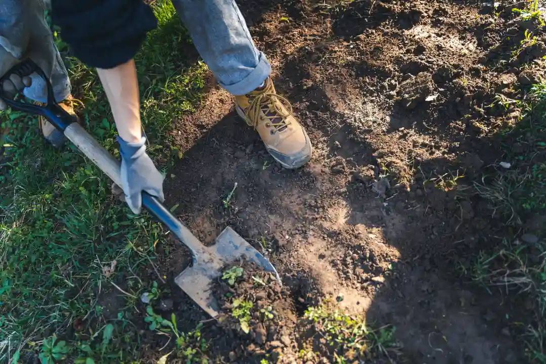 Common Causes of Lawn Patches and How to Fix Them in Rome, NY