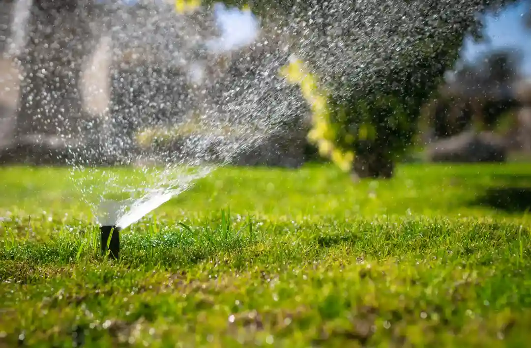 How Proper Irrigation Supports Lawn Patch Recovery Rome, NY