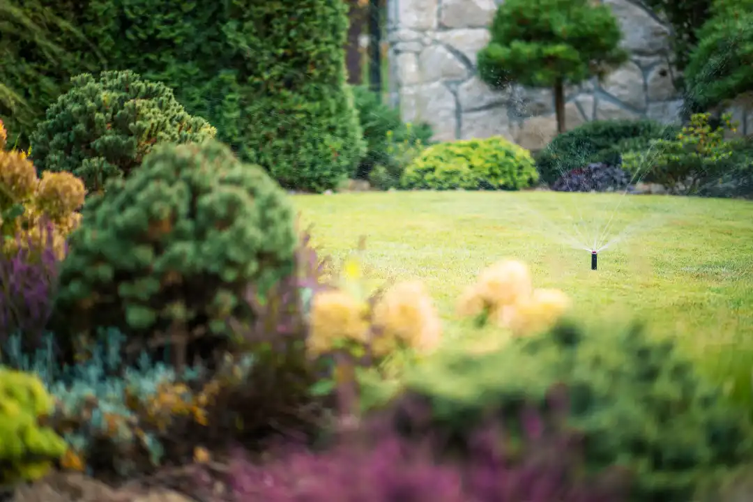 How Proper Irrigation Supports Lawn Patch Recovery in Rome, NY