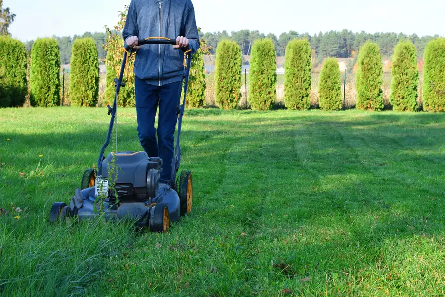 How Proper Lawn Mowing Prevents Weed Growth Rome, NY