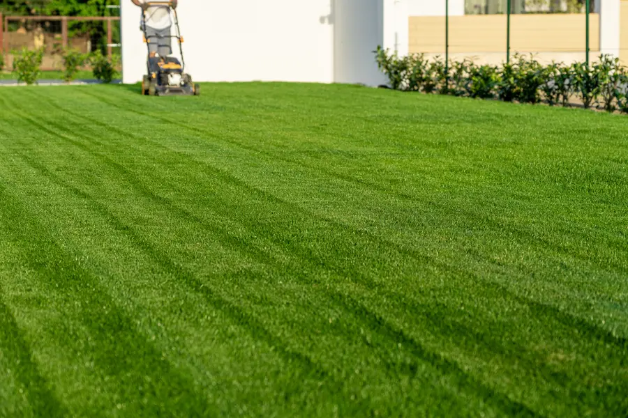 How Proper Lawn Mowing Prevents Weed Growth in Rome, NY