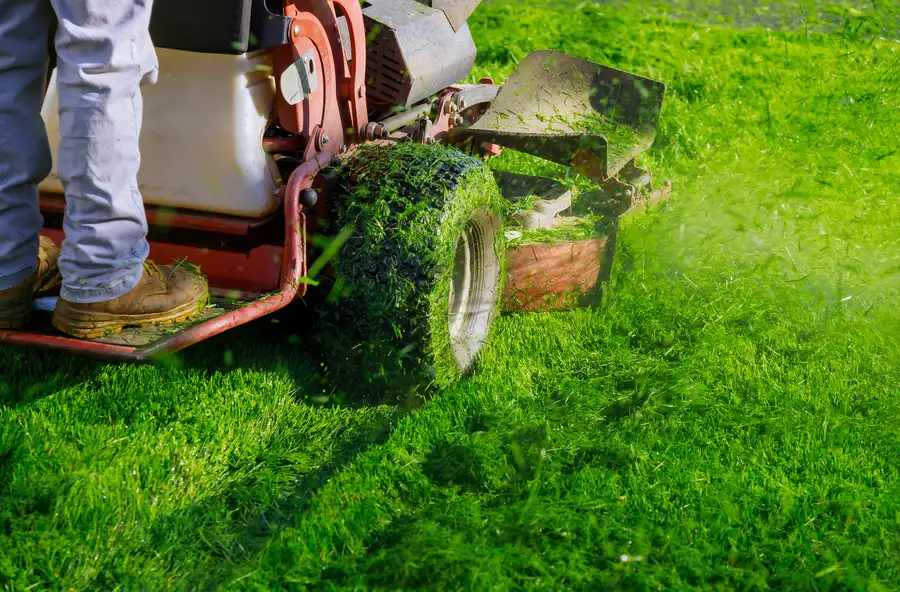 Premium Lawn Mowing Rome, NY Premium Lawn Mowing Rome, NY