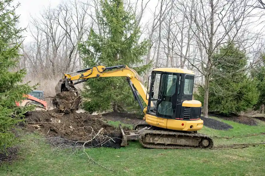 Quality Stump Removal Rome, NY