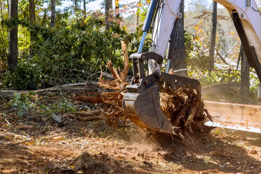 Reputable Stump Removal Rome, NY