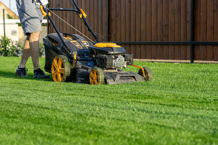 Seasonal Considerations For Effective Lawn Mowing Rome, NY