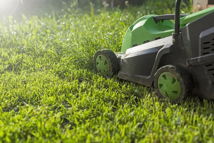 Seasonal Considerations For Effective Lawn Mowing in Rome, NY