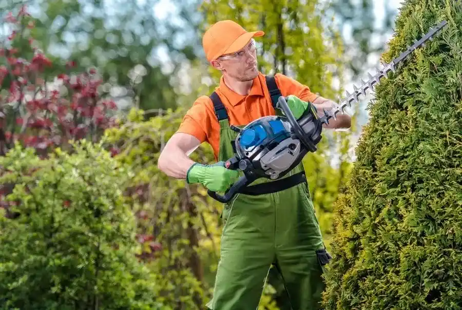 Why Bush Trimming Is Essential For Healthy Landscapes Rome, NY